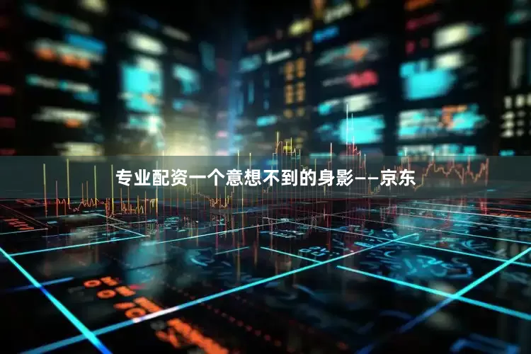 专业配资一个意想不到的身影——京东